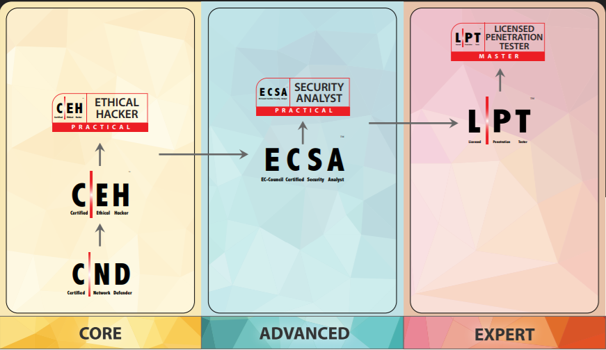 EC-Council VAPT Learning Track