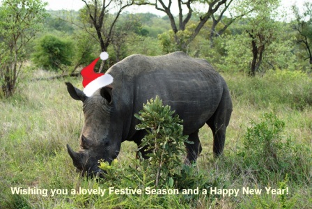 Kerst neushoorn.jpg